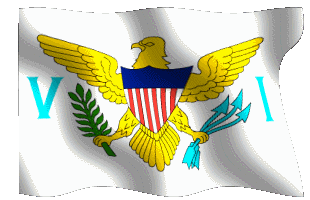 usviflag